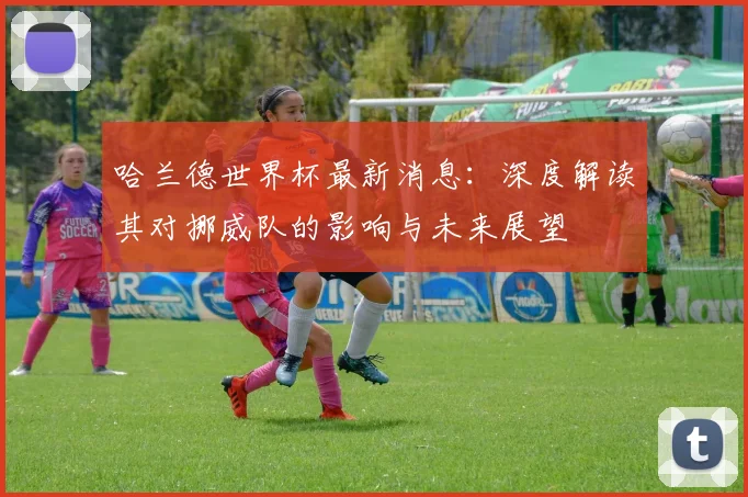 哈兰德世界杯最新消息:深度解读其对挪威队的影响与未来展望