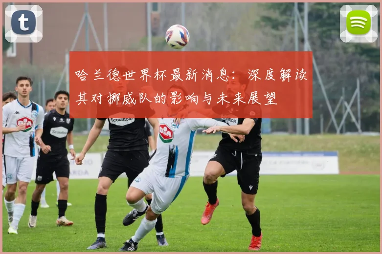 哈兰德世界杯最新消息：深度解读其对挪威队的影响与未来展望